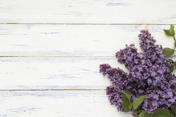 Lilac branches on a light wooden background. Concept of spring.