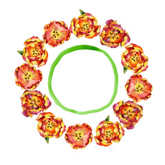 Floral, floral, spring wreath of tulips and southern mandarins. Watercolor. Illustration
