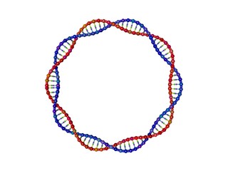 DNA strand in form of circle. 3D rendering illustration.