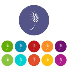 Grainy wheat icons color set vector for any web design on white background