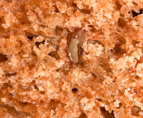 Bread with seeds and raisins as a background