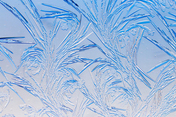 Blue drawings on the glass in the frost