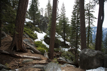 Yosemite