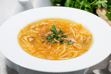 chicken soup with egg noodles, horizontal