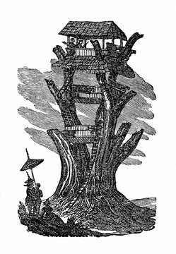 Bandula's lookout tree at Danybyu, mounted with four guns; First Anglo-Burmese War (from Das Heller-Magazin, February 8, 1834)