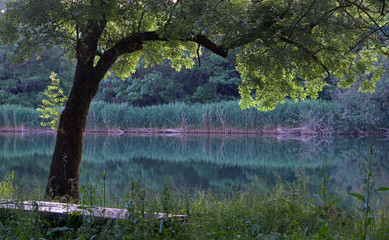 evening by the river