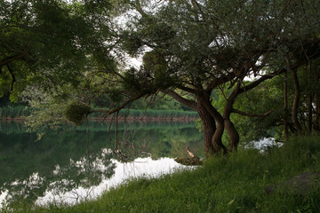 Evening by the river