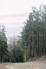 Young stylish couple in the forest, running around the Park and laughing. Modern people on a walk. Beautiful girl with tattoos. Loving young man and girl. mountain Park with pine forest