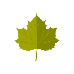 Vector Illustration. Autunm leaf