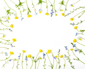 Wall murals Pansies Floral frame made of yellow buttercups flowers and pansies isolated on white background. Top view with copy space. Flat lay.