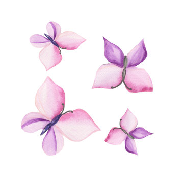 розовые бабочки акварели
