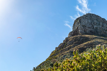 A Paraglider and Lion's Head Mountain