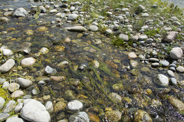Creek