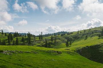 Fototapeta na wymiar Beautiful mountain landscape with green hills and blue sky