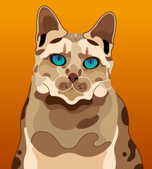 猫のイラストレーション