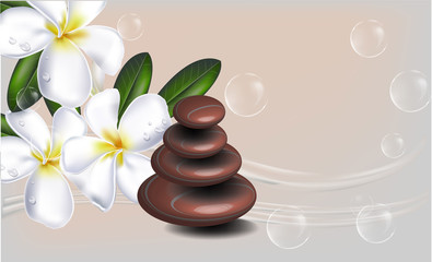 Spa banner or background with plumeria and brown stone