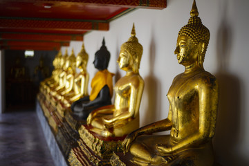 Row of golden buddha statue at Wat Pho, Bangkok, Thailand