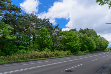 宮城県仙台市台原の道路 
