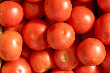 red tomatoes juicy sweet