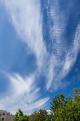 Wisp shape cirrus clouds on blue sky