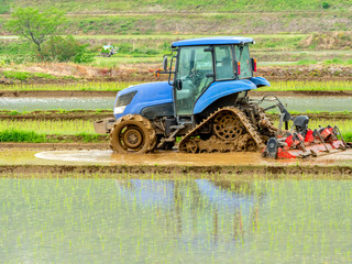 Rice paddy puddling