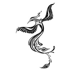 Beautiful peacock. Exotic bird. Vector hand drawn detailed illustration