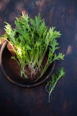 Obraz na płótnie Canvas lettuce mustard in an old wooden bowl