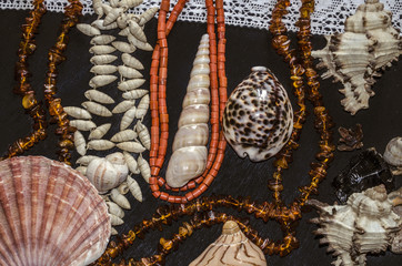Naklejka premium A group of shells and stones with amber and coral beads on a white openwork border lie on black plywood 