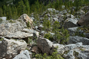 Labyrinthsteig oder Agatha Christie Weg am Latemar