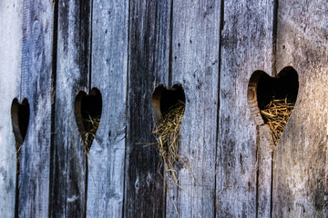heart symbols in wooden boards