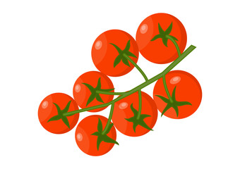 Vector illustration. Fresh tomato branch on a white background.