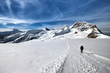 The Aletsch Glacier Switzerland.