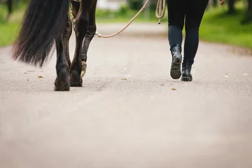 Fotobehang Frau führt Pferd an der Leine, Ansicht Beine und Füße © M.Dörr & M.Frommherz