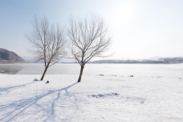 Fototapeta na wymiar a scenic cold winter landscape with snow and trees