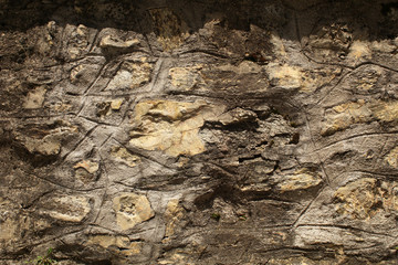 Old rock wall