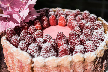 Delicious french pastry 