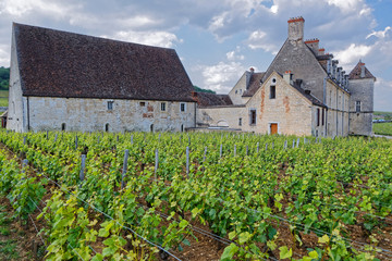 Fototapeta na wymiar Château du Clos de Vougeot
