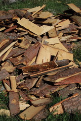 Part of firewood on the grass