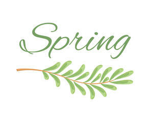 Spring and Branch with Tiny Oblong Leaves Poster