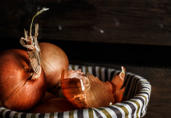 Still life of onion bulbs.