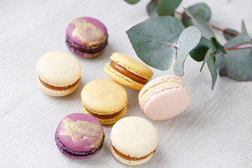 Fototapeta na wymiar French macaroon dessert and flowers eucalyptus on a white background. pastel colors