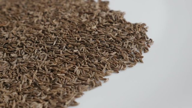 Meridian fennel Carum carvi seed slow pan footage