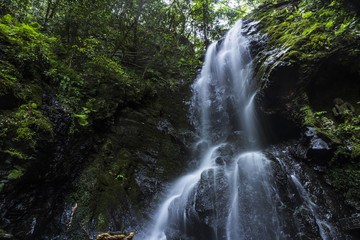 Fototapeta premium 空也の滝