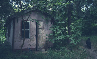 Scary house in the forest