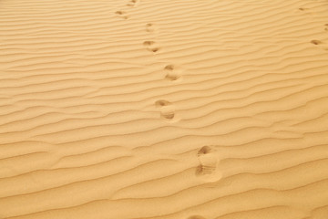 Footprints in sand desert