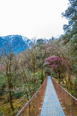 Fototapeta premium Suspension bridge over the mountain river.
