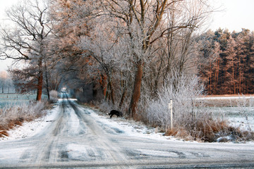 Winter auf dem Dorfe