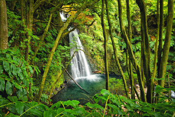 Fototapeta premium Salto do Prego waterfall, Azores, Portugal