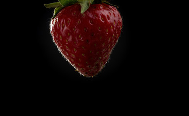 einzelne rote Erdbeere mit Schimmelbefall, dunkler Hintergrund