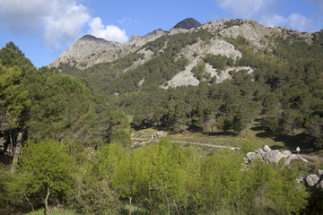 Fototapeta na wymiar Grazalema Mountains
